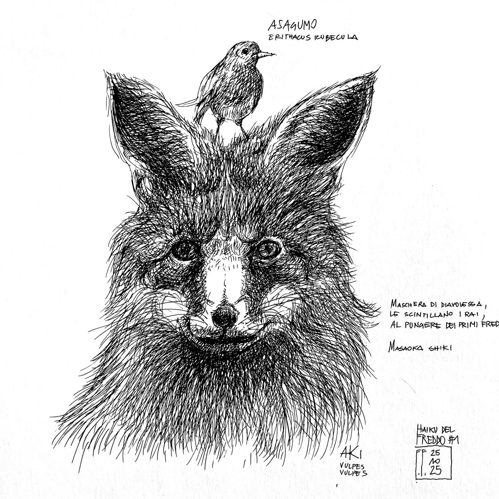 fox