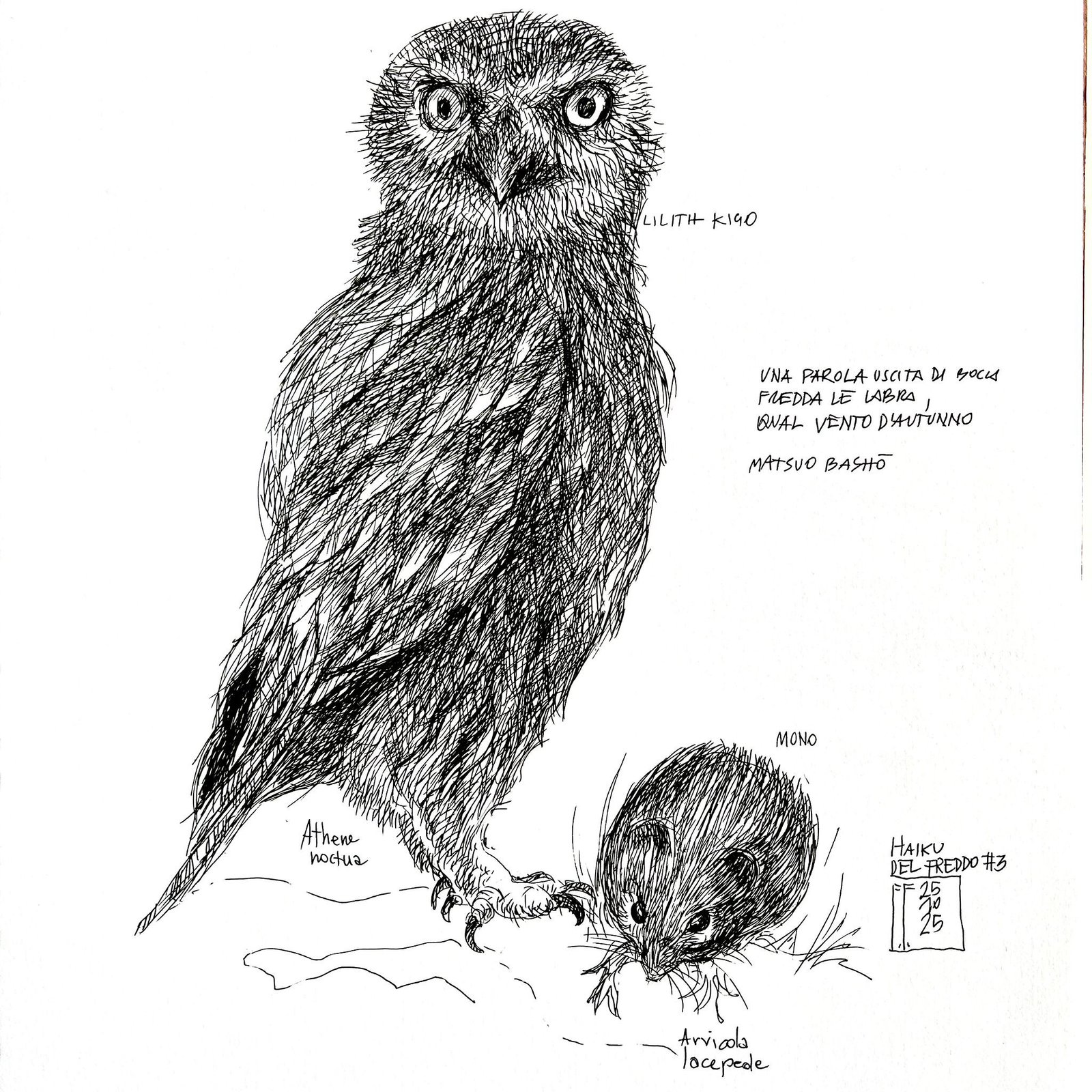 owl